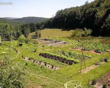 Caille Bas En Haut-languedoc * Fontrieu