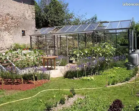 Caille Bas En Haut-languedoc *
